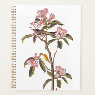 Agenda Pássaro-do-rei Cuvier de Audubon em Calico Rosa