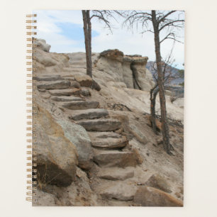 Agenda Passos Rocky