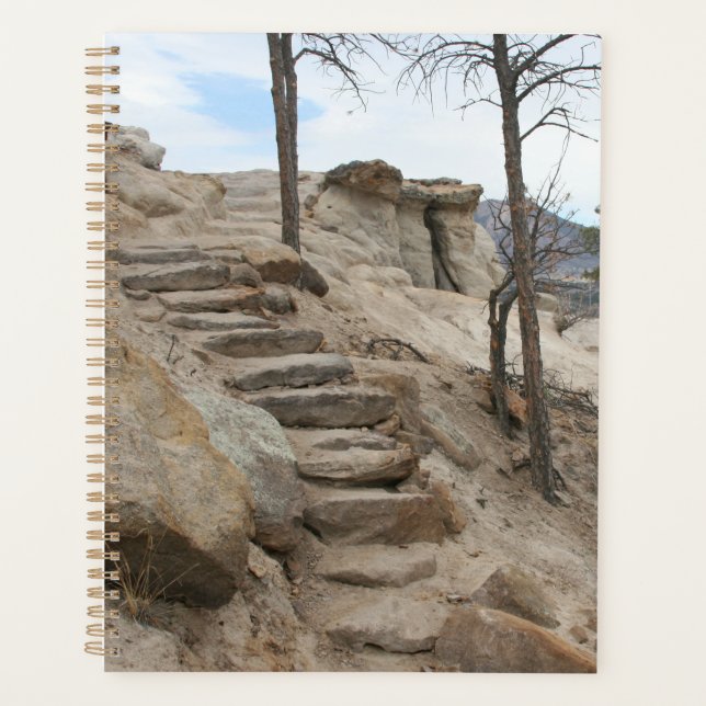 Agenda Passos Rocky (Frente)