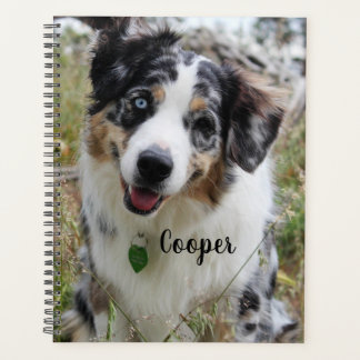 Agenda Pastor australiano Merle Personalizado