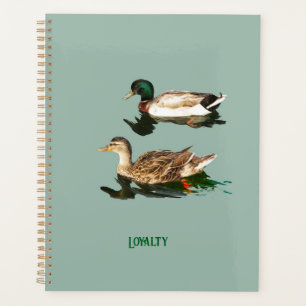 Agenda Patos-de-pata