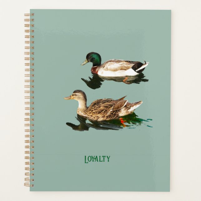 Agenda Patos-de-pata (Frente)