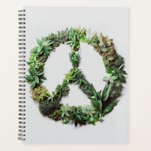 Agenda Paz verde