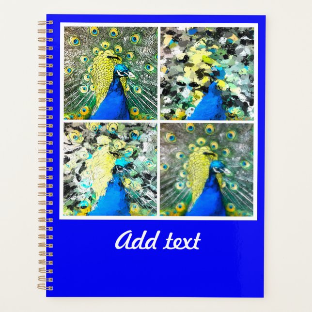 Agenda Peacock Art (Frente)