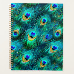 Agenda Peacock Glory