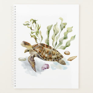 Agenda Peixe-palha de praia do oceano náutico