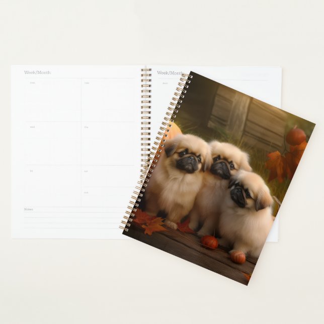 Agenda Pekingese Puppy Autumn Delight Pumpkin (Exibição)