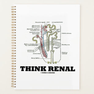 Agenda Pense no conselho do rim renal nehron