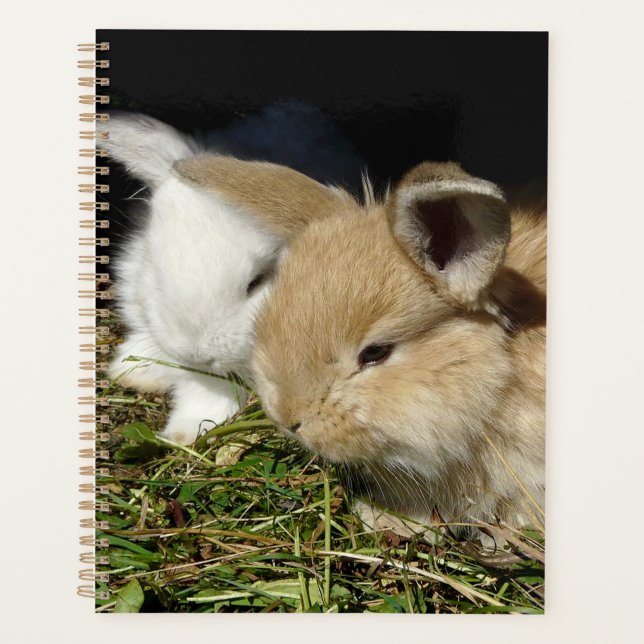 Agenda Pequenos coelhos fofos bonitos (Frente)