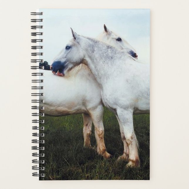 Agenda Percherons de Equinos Fotográficos Equinos Crescen (Frente)