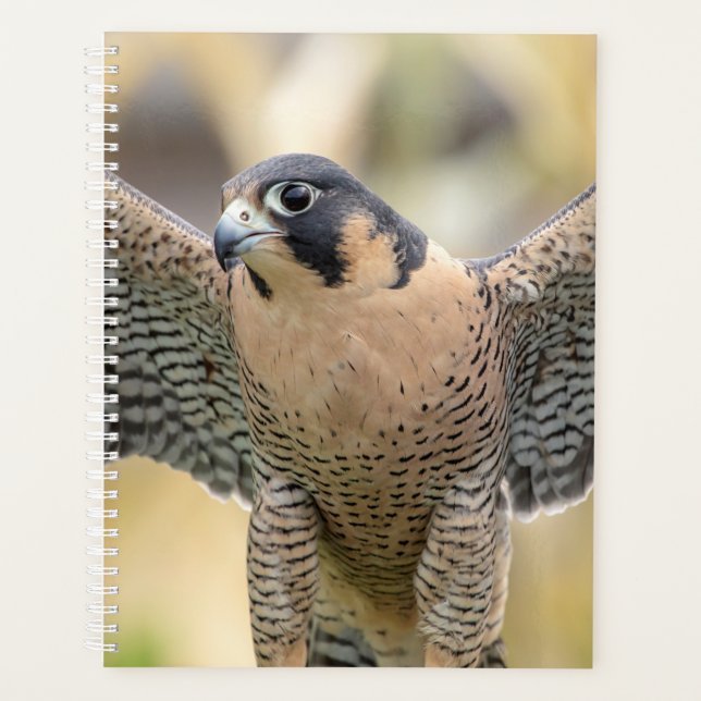 Agenda Peregrine Falcon 2026 Planner | Hudson Valley Selv (Frente)