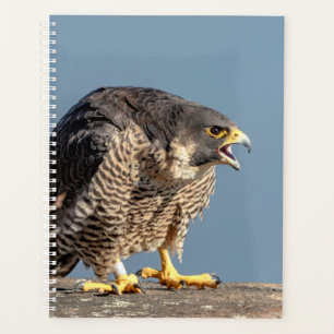 Agenda Peregrine Falcon 2026 Planner Hudson Valley Wild