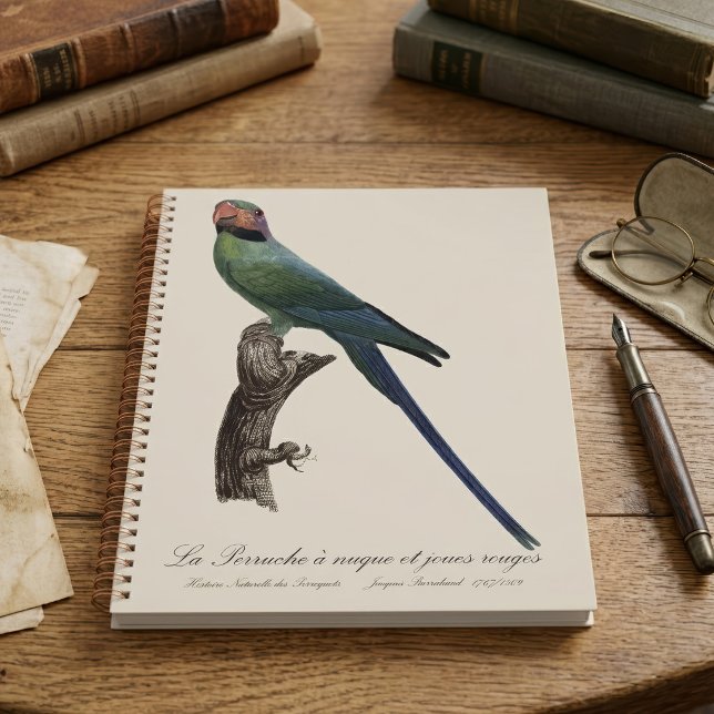 Agenda Periquito-de-cauda-comprida, Psittacula Longicauda (Long-Tailed Parakeet, Psittacula Longicauda. Planner)
