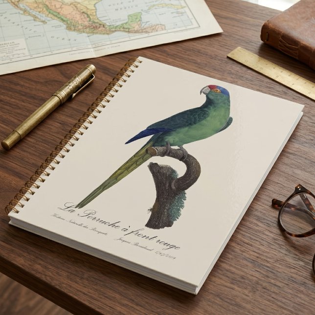 Agenda Periquito-fronte-laranja, Eupsittula Canicularis (Orange-Fronted Parakeet, Eupsittula Canicularis. Planner)