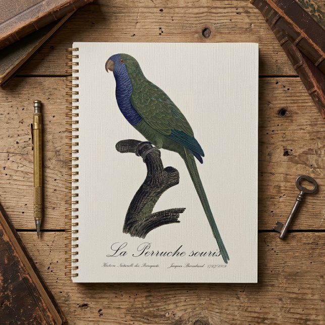 Agenda Periquito-verde ou Caturrita, Myiopsitta Monachus (Monk Parakeet or Monk Parrot, Myiopsitta Monachus. Planner)