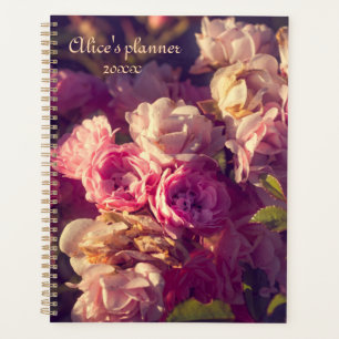Agenda personalização do shrub do Rosa vermelha