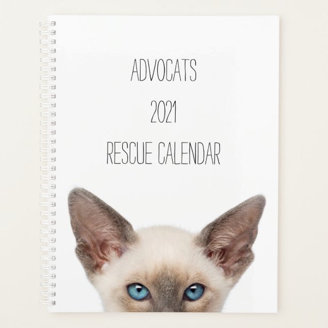 Agenda Personalizado de Emergência de Gato de Kitten (Frente)