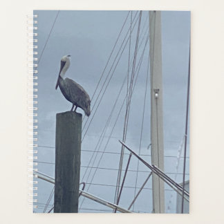 Agenda Pete Pelican