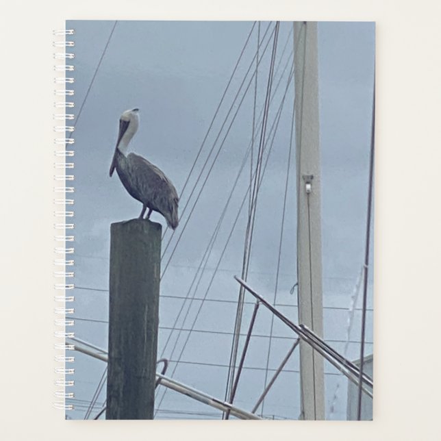 Agenda Pete Pelican (Frente)