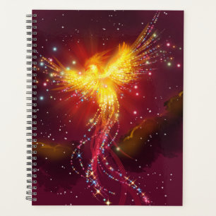 Agenda Phoenix no voo