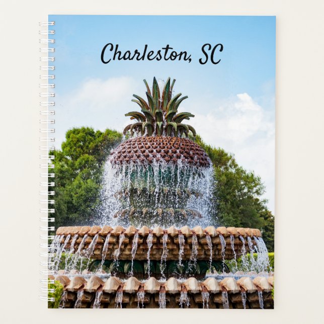 Agenda Pineapple Fountain in Charleston, SC (Frente)