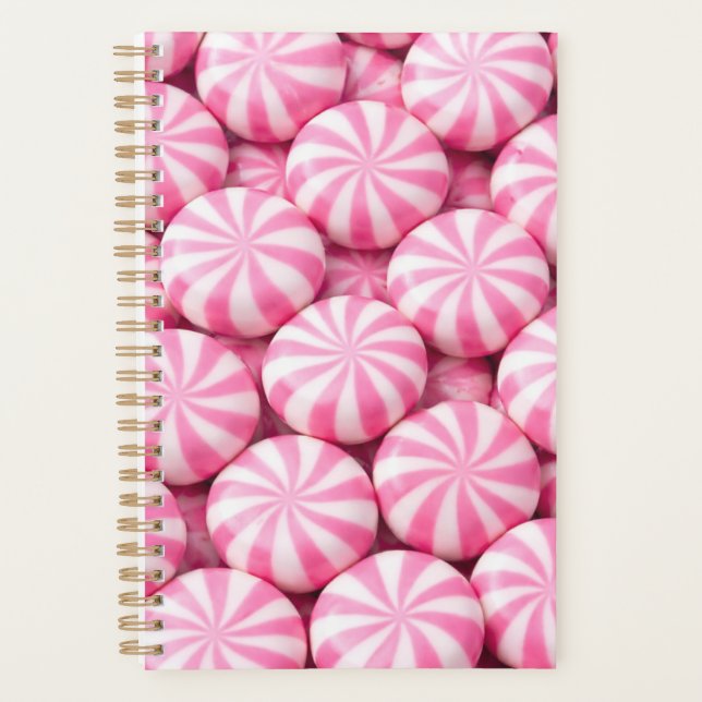 Agenda Pink Peppermint Planner Cover (Frente)
