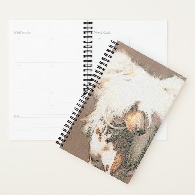 Agenda Pintura Chinesa Sem Penteado Pintura Original De C (Exibição)