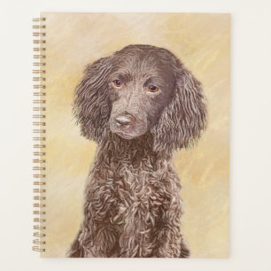 Agenda Pintura do American Water Spaniel - Arte Original