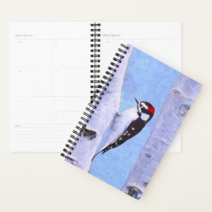 Agenda Pintura do Pica-Pau Downy - Arte Original