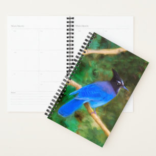 Agenda Pintura em Jay de Steller - Arte original sobre pá