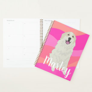 Agenda Pirenéus de Excelente personalizáveis