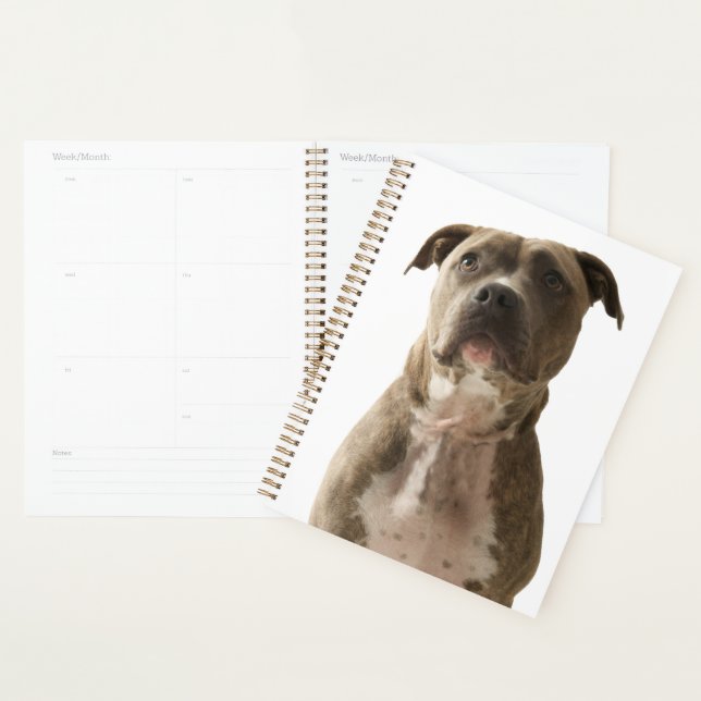 Agenda Pit Bull Dog Gift Bag (Exibição)