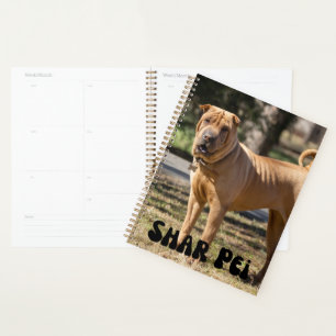 Agenda Planeador de Calendário de Puppia do Shar Pei Cute