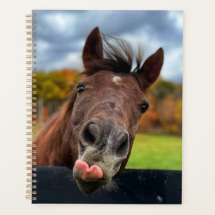 Agenda Planeador de cavalos bonito