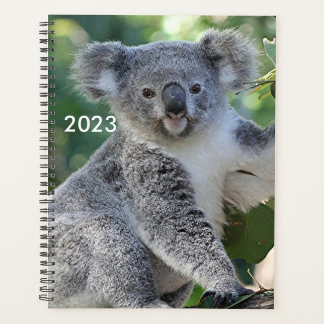 Agenda Planeador de coala australiano bonito 2023 (Frente)