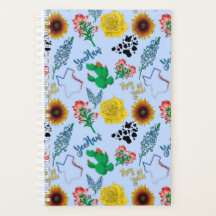 Planeador de Padrões do Texas Bonito