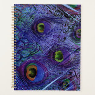 Agenda Planeador de Penas Azul