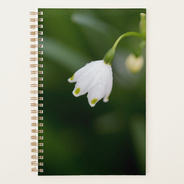 Agenda Planeador elegante floral branco (Frente)