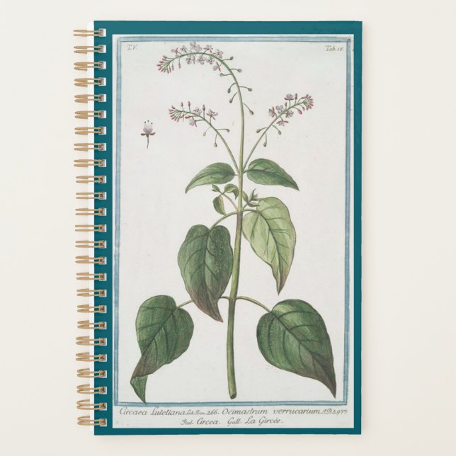 Agenda Planeador Nightshade do Enchanter (Frente)