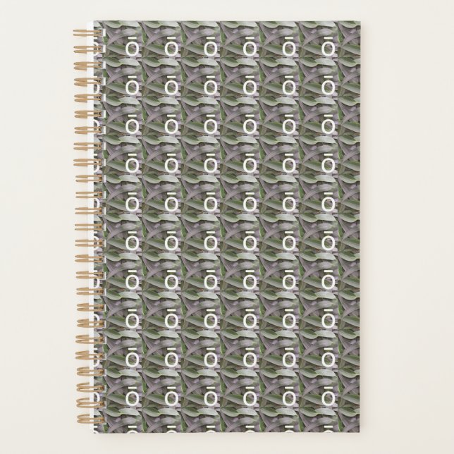 Agenda Planeador Pequeno Eucalyptus do DōTERRA (Frente)