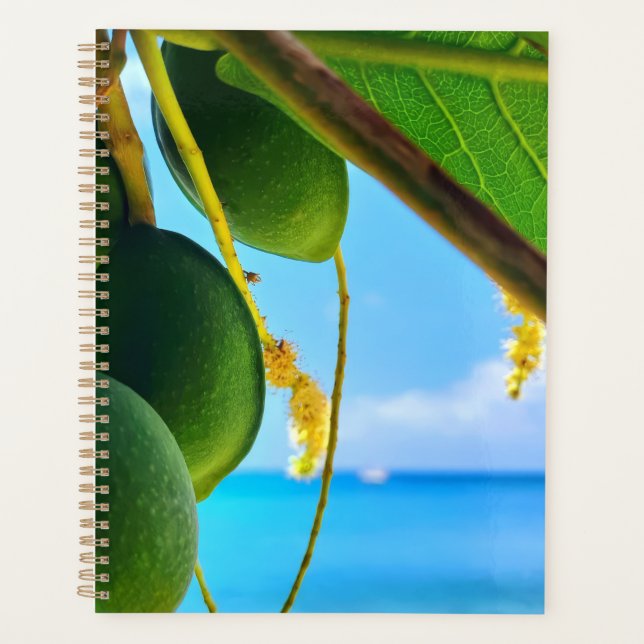Agenda Planeador Tropical Beach Vibes | Inspirado em Cari (Frente)