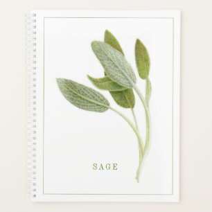 Agenda Planejador/Calendário FRESH SAGE 8.5x11