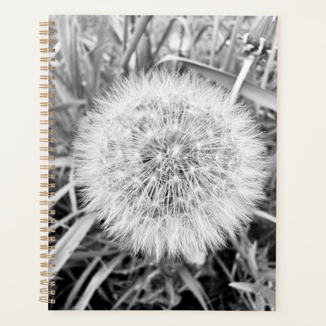 Agenda Planner (Frente)