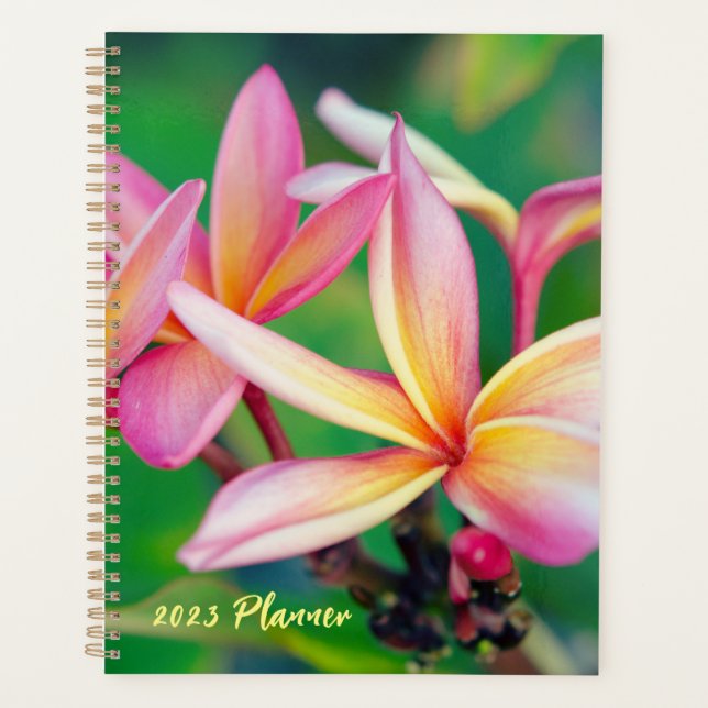 Agenda Planner da Flor de Plumeria Rosa (Frente)