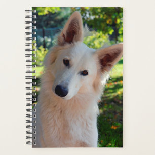 Agenda Planner de Cachorros