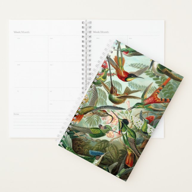 Agenda Planner de Hummingbird de Haeckel (Exibição)