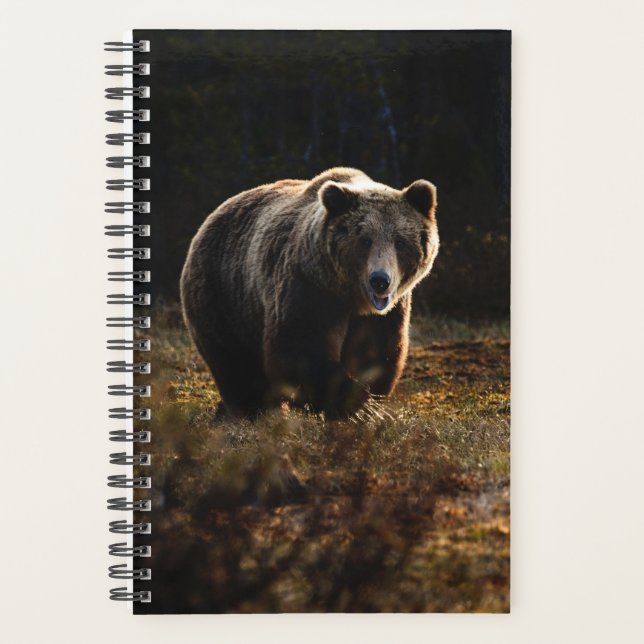 Agenda Planner do Urso (Frente)