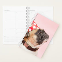 Planner Pug