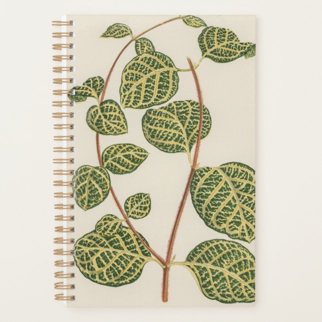 Agenda Planta Botânica Mãe Pai (Frente)