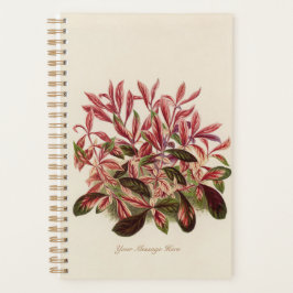 Agenda Planta Mãe Gardener Pai 2022